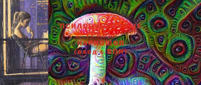 Псилоцибиновые грибы Cubensis  ОМГ ОМГ ссылки  Жирновск 